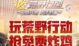荒野行动过年爆料视频,揭秘过年爆料视频精彩看点