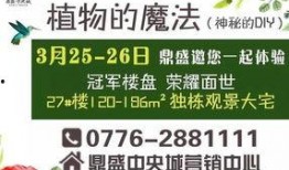 百色今日爆料信息查询最新,揭秘今日热点事件！”