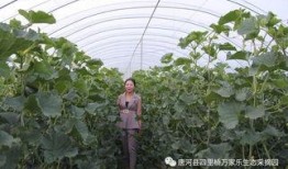 网红吃瓜大集合集,揭秘娱乐圈幕后风云