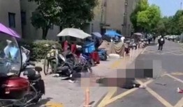 网友爆料坠楼案件视频播放,惊心动魄的坠楼案件现场视频曝光